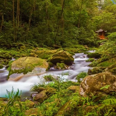Zhangjiajie Tourist Route